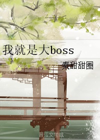 �Ҿ��Ǵ�boss
